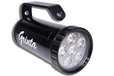 TORCIA GRINTA USATA PER UNA MANIFESTAZIONE